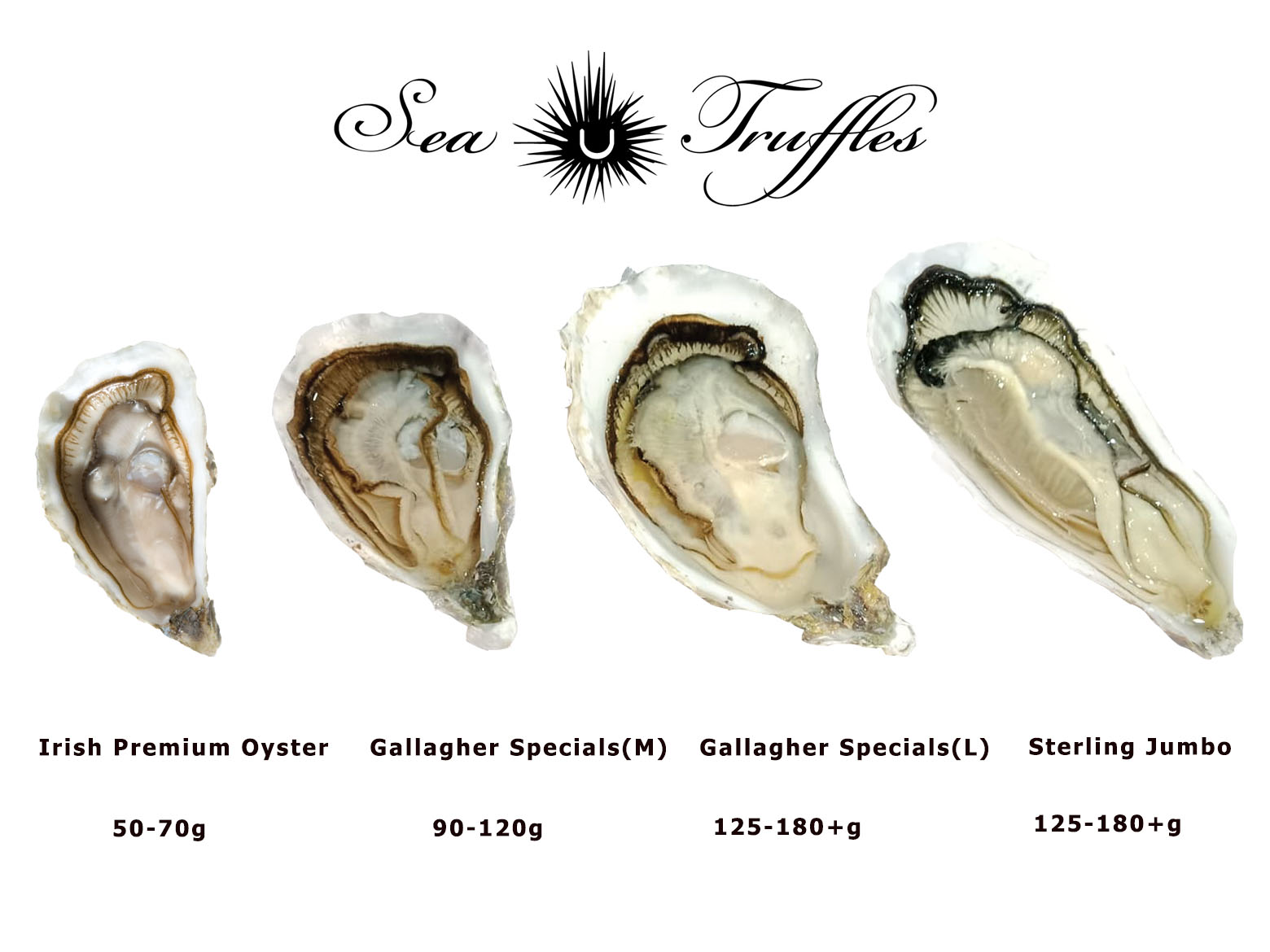 Irish Premium Oysters